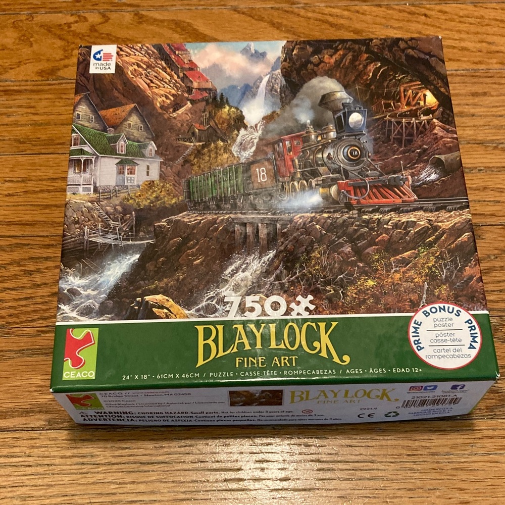 Fine Art Train Puzzle - 750 Pieces